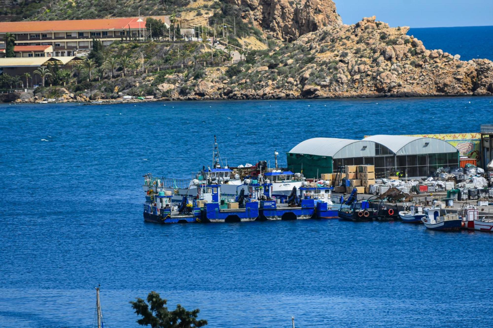 Dream View Aguilas - By Aloha Palma Exterior photo